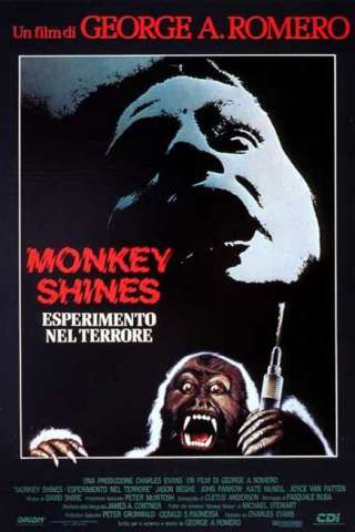 Monkey Shines - Esperimento nel terrore (1988) streaming