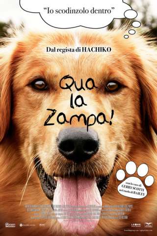 Qua la zampa! (2017) streaming