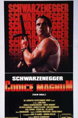 Codice Magnum (1986) streaming
