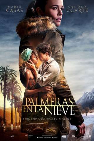 Palme nella neve (2015) streaming