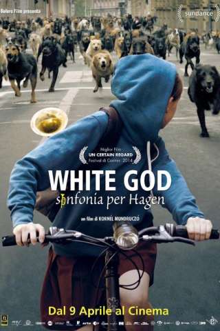 White God - Sinfonia per Hagen (2014) streaming
