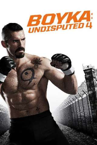 Undisputed 4 - Il ritorno di Boyka (2016) streaming