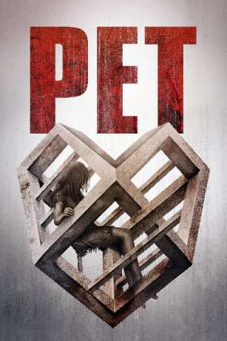 Pet (2016) streaming