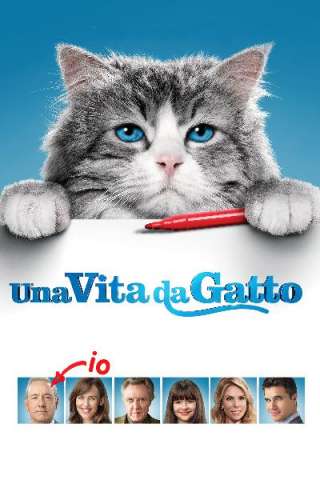 Nine Lives - Una vita da gatto (2016) streaming