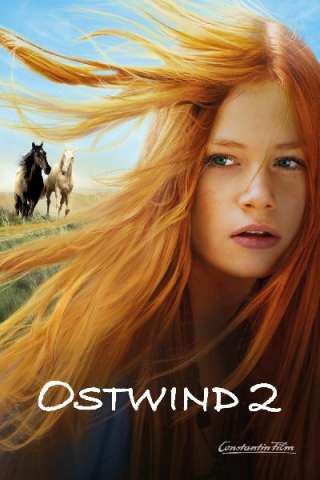 Windstorm 2 - Contro ogni regola (2015) streaming