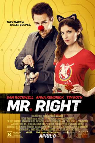 Mr. Right (2015) streaming