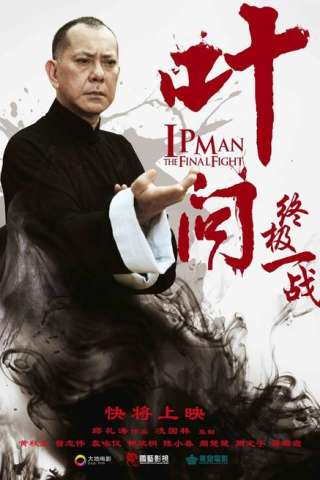 Ip Man - The Final Fight (2013) streaming