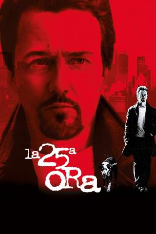 La 25ª ora (2002) streaming
