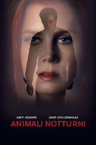 Animali notturni (2016) streaming