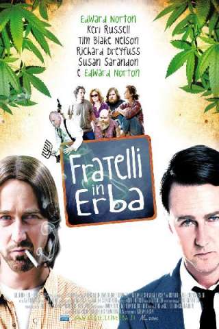 Fratelli in erba (2009) streaming