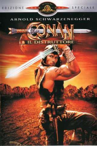 Conan il distruttore (1984) streaming