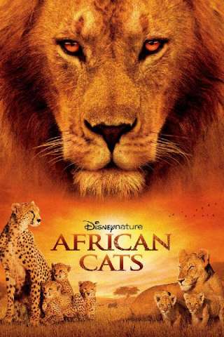 African Cats - Il regno del coraggio (2011) streaming