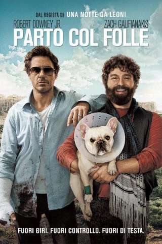 Parto col folle (2010) streaming