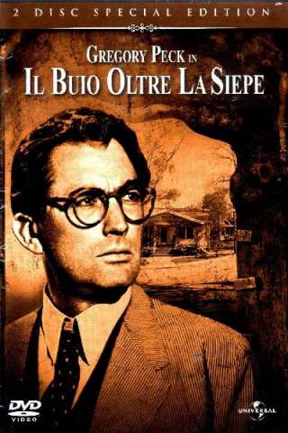 Il buio oltre la siepe (1962) streaming