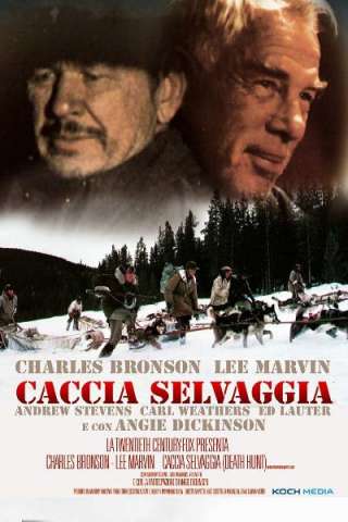 Caccia selvaggia (1981) streaming