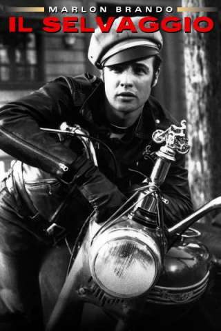 Il selvaggio (1953) streaming