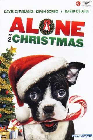 Mamma ho perso il cane (2013) streaming