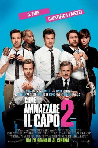 Come ammazzare il capo 2 (2014) streaming