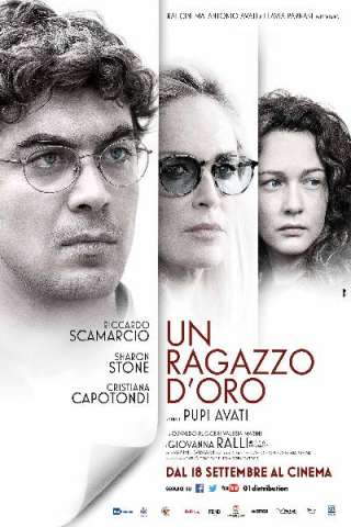 Un ragazzo d'oro (2014) streaming