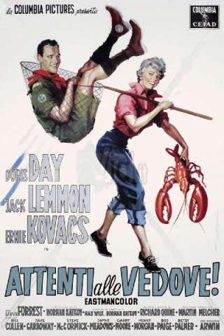 Attenti alle vedove (1959) streaming