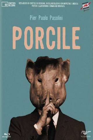 Porcile (1969) streaming
