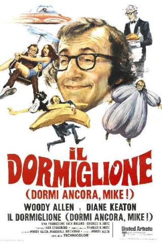 Il dormiglione (1973) streaming