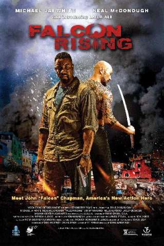 Falcon Rising (2014) streaming