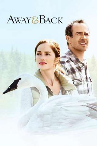 Qualcosa di inaspettato (2015) streaming