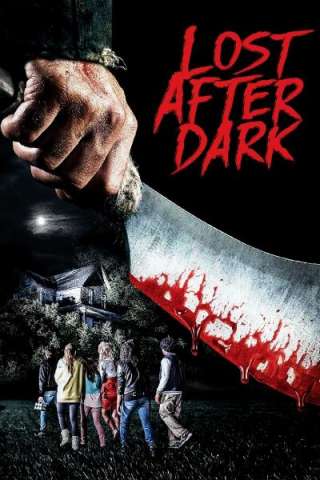Lost After Dark (2014) streaming
