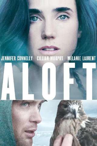 Il volo del falco (2014) streaming