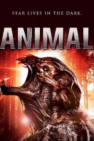 Animal - Il segreto della foresta (2014) streaming