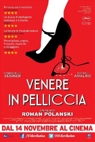 Venere in pelliccia (2013) streaming