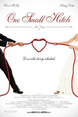Amore per finta (2013) streaming