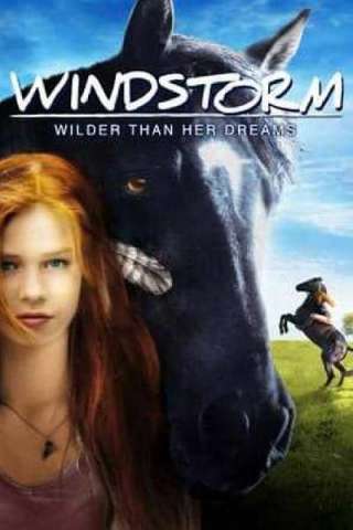 Windstorm - Liberi nel vento (2013) streaming