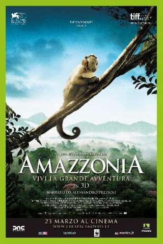 Amazzonia (2013) streaming