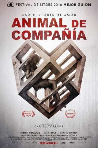 Pet (2016) streaming
