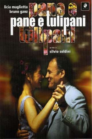 Pane e Tulipani (2000) streaming