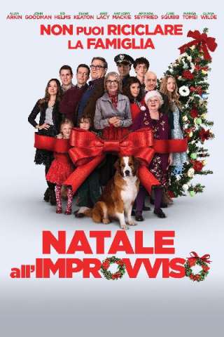 Natale all'improvviso (2015) streaming