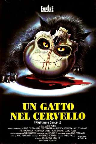 Un gatto nel cervello (1990) streaming
