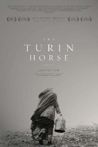 Il cavallo di Torino (2011) streaming