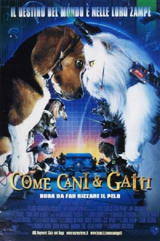 Come cani e gatti (2001) streaming