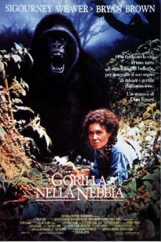 Gorilla nella nebbia (1988) streaming