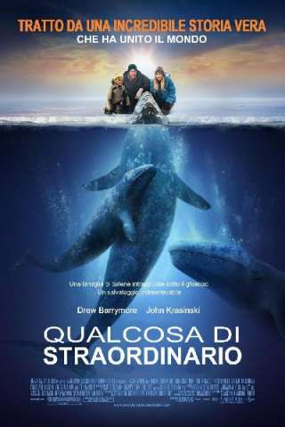 Qualcosa di straordinario (2012) streaming