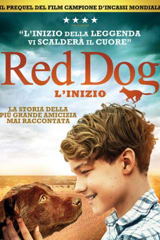 Red Dog: L'inizio (2016) streaming