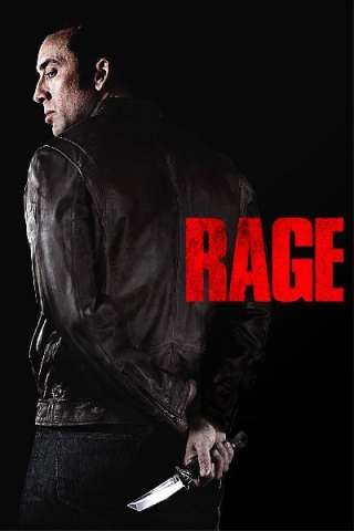 Tokarev (2014) streaming