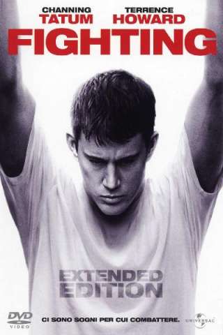 Fighting (2009) streaming