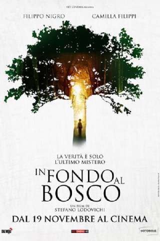 In fondo al bosco (2015) streaming