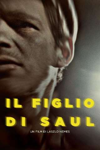 Il figlio di Saul (2015) streaming