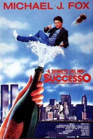 Il segreto del mio successo (1987) streaming