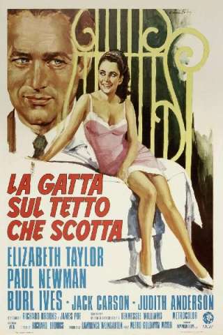 La gatta sul tetto che scotta (1958) streaming